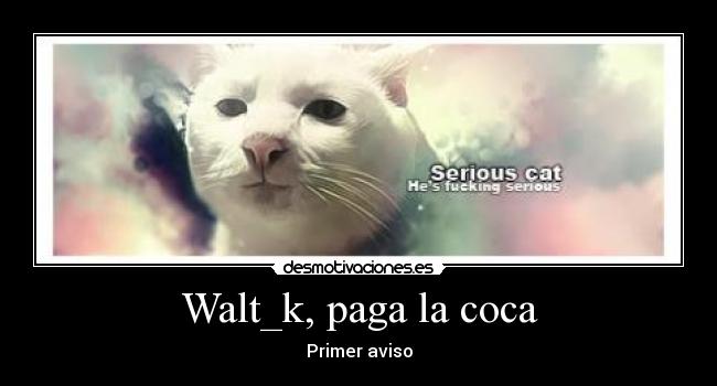 Walt_k, paga la coca - Primer aviso