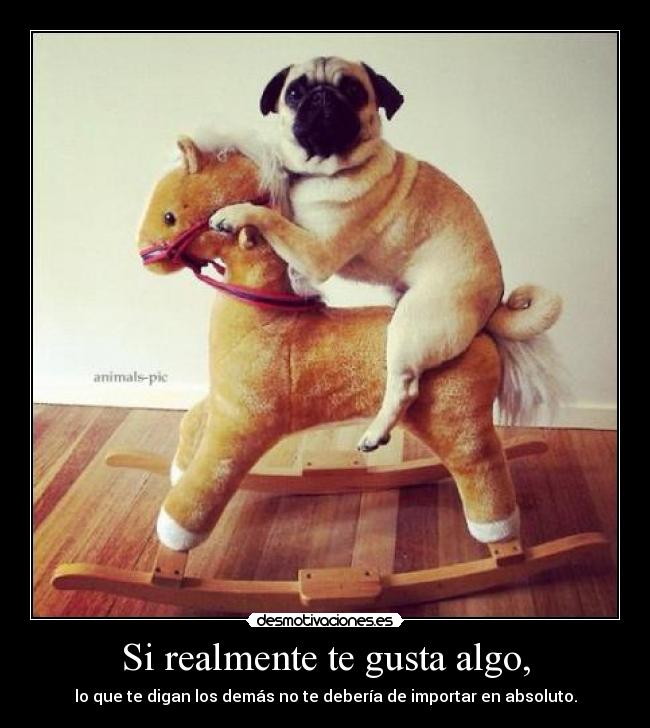 Si realmente te gusta algo, - lo que te digan los demás no te debería de importar en absoluto.