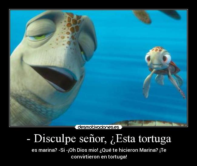 - Disculpe señor, ¿Esta tortuga - es marina? -Si -¡Oh Dios mio! ¿Qué te hicieron Marina? ¡Te convirtieron en tortuga!