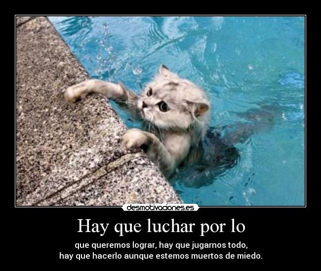 Hay que luchar por lo - 