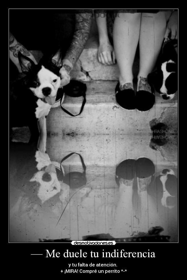 — Me duele tu indiferencia - y tu falta de atención.
+ ¡MIRA! Compré un perrito *-*