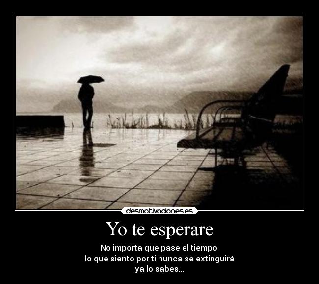 Yo te esperare - 