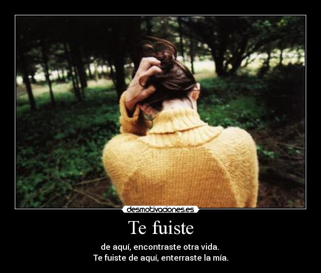 Te fuiste -