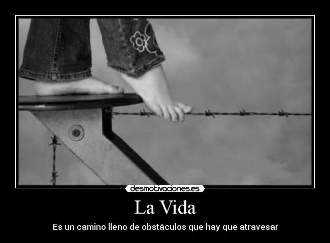 La Vida - Es un camino lleno de obstáculos que hay que atravesar