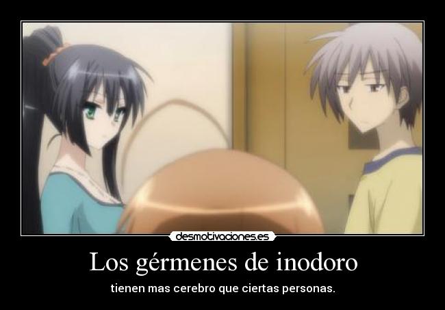 Los gérmenes de inodoro - 