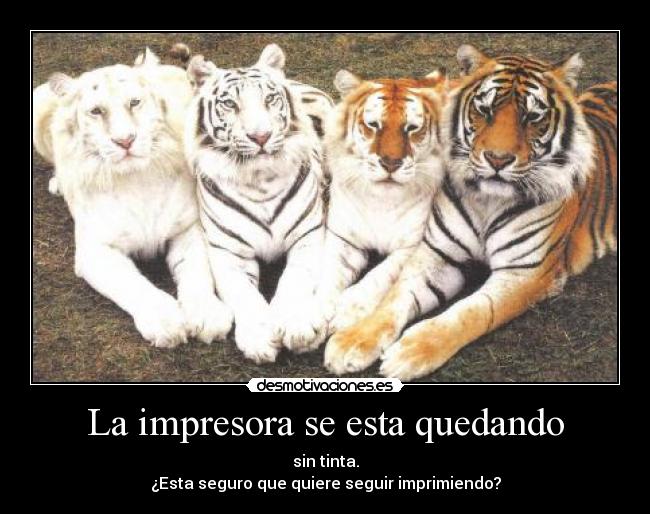 La impresora se esta quedando - sin tinta.
¿Esta seguro que quiere seguir imprimiendo?