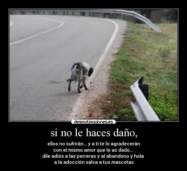 si no le haces daño, -