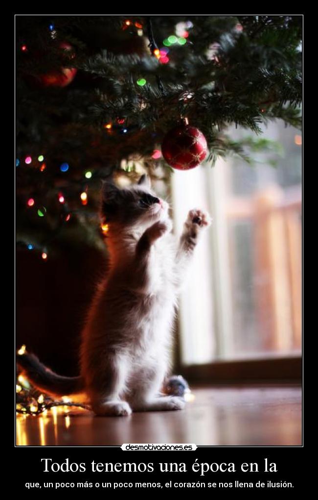 Todos tenemos una época en la - que, un poco más o un poco menos, el corazón se nos llena de ilusión.