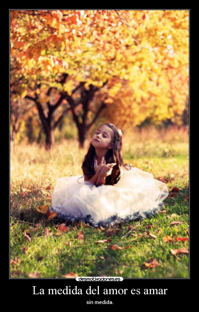 La medida del amor es amar - sin medida.