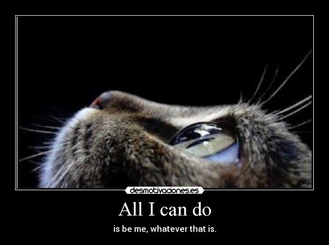 carteles bob dylan desmotivaciones