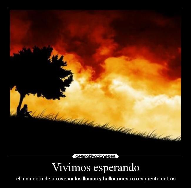 Vivimos esperando - el momento de atravesar las llamas y hallar nuestra respuesta detrás