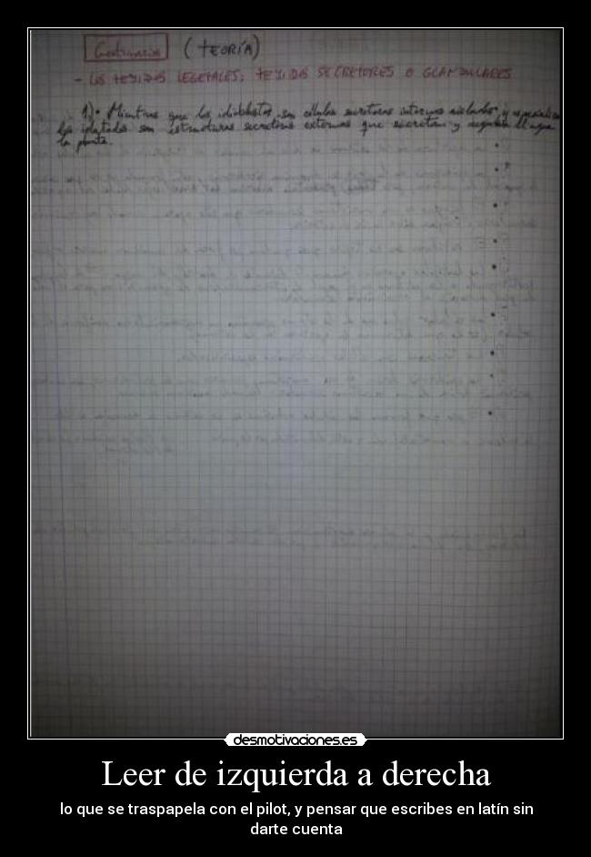 Leer de izquierda a derecha - 