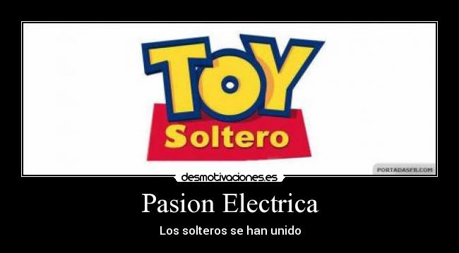 Pasion Electrica - Los solteros se han unido