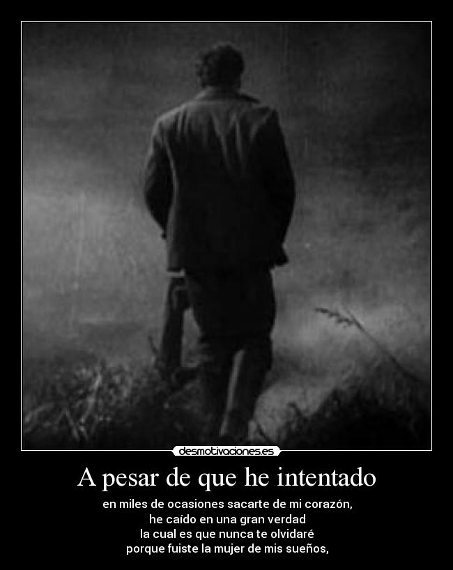 A pesar de que he intentado - en miles de ocasiones sacarte de mi corazón,
he caído en una gran verdad
la cual es que nunca te olvidaré
porque fuiste la mujer de mis sueños,