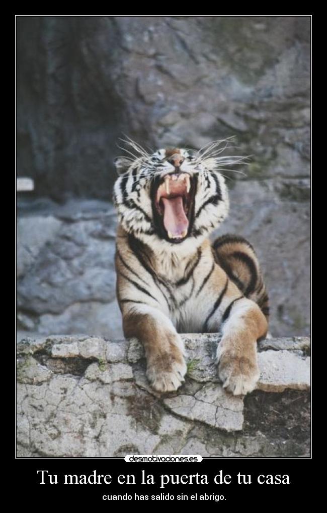 Tu madre en la puerta de tu casa - cuando has salido sin el abrigo.