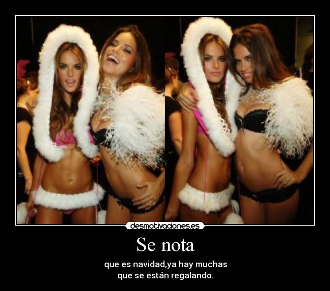 Se nota - que es navidad,ya hay muchas
que se están regalando.