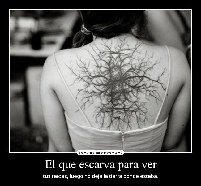 carteles deivod mvr elgatoquenuncasupovivir entiendase que quiero decir desmotivaciones