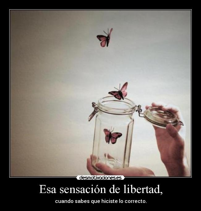 Esa sensación de libertad, - cuando sabes que hiciste lo correcto.
