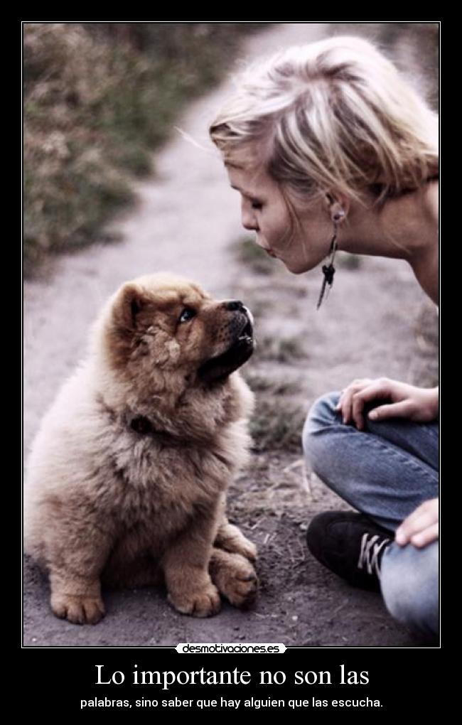 Lo importante no son las -