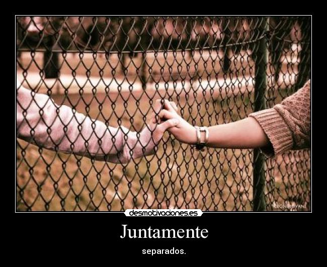 Juntamente - separados.
