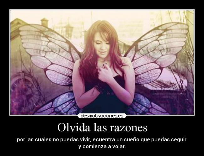 Olvida las razones - por las cuales no puedas vivir, ecuentra un sueño que puedas seguir
y comienza a volar.