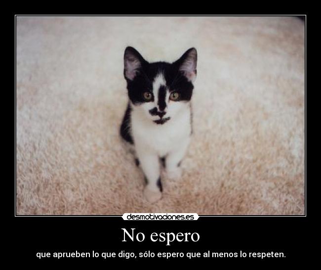 No espero - 