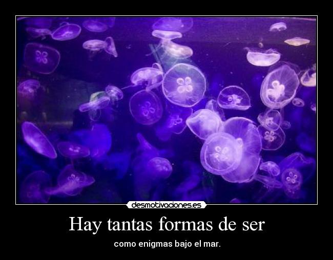 Hay tantas formas de ser -