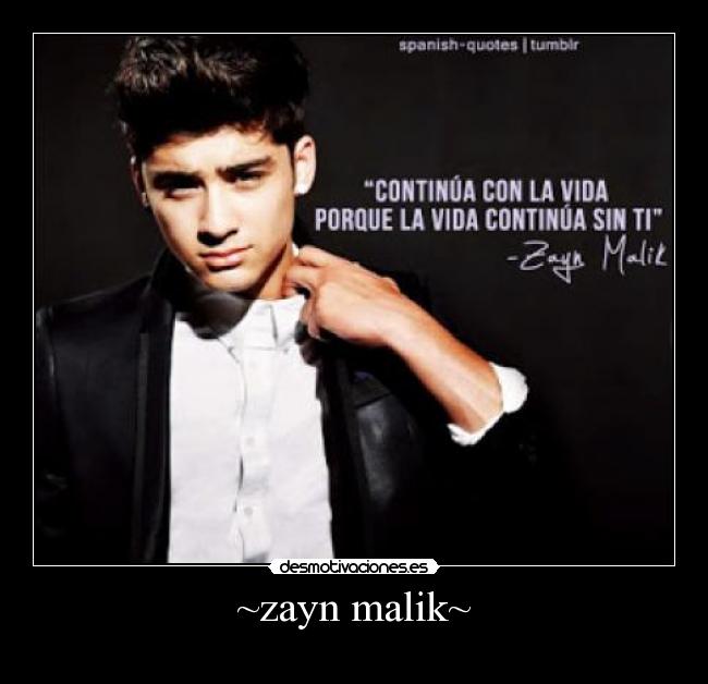 ~zayn malik~ -
