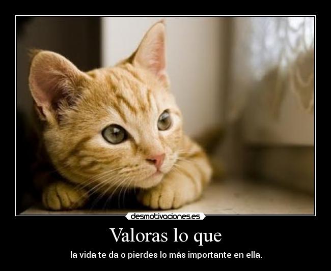 Valoras lo que - 
