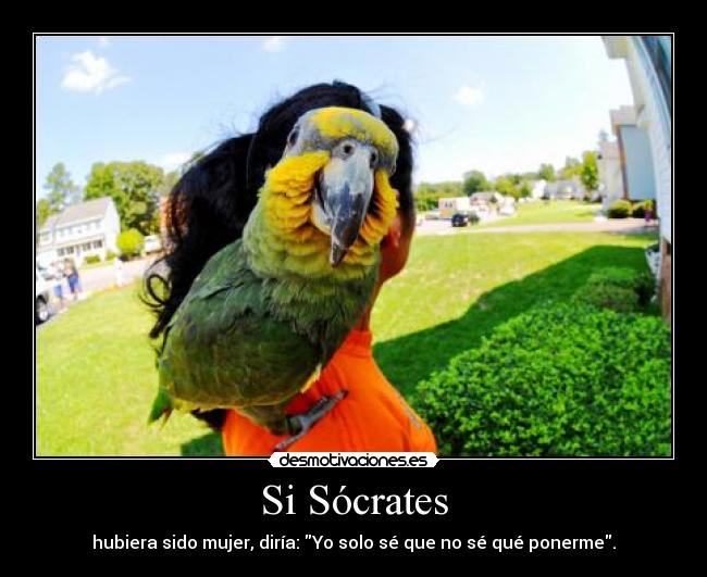 Si Sócrates - 
