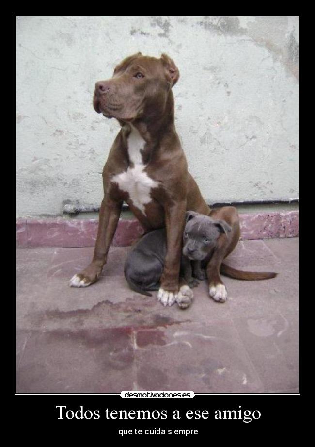 Todos tenemos a ese amigo - que te cuida siempre