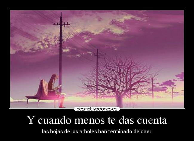 Y cuando menos te das cuenta - las hojas de los árboles han terminado de caer.