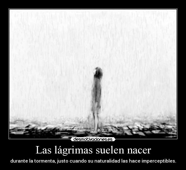 Las lágrimas suelen nacer - durante la tormenta, justo cuando su naturalidad las hace imperceptibles.