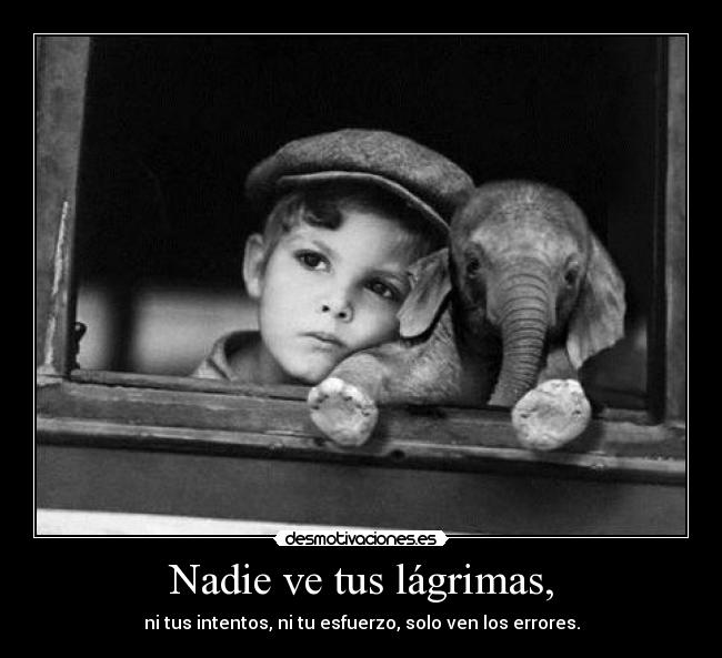 Nadie ve tus lágrimas, - ni tus intentos, ni tu esfuerzo, solo ven los errores.