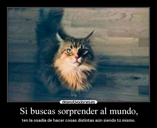 Si buscas sorprender al mundo, -
