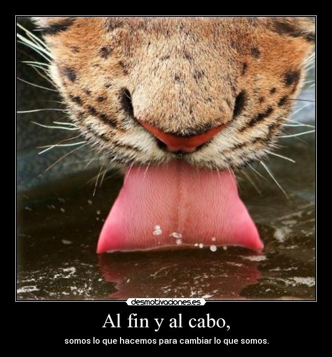Al fin y al cabo, - 