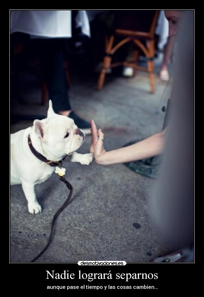 Nadie logrará separnos -