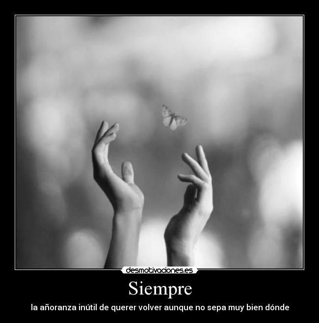 carteles dimont desmotivaciones