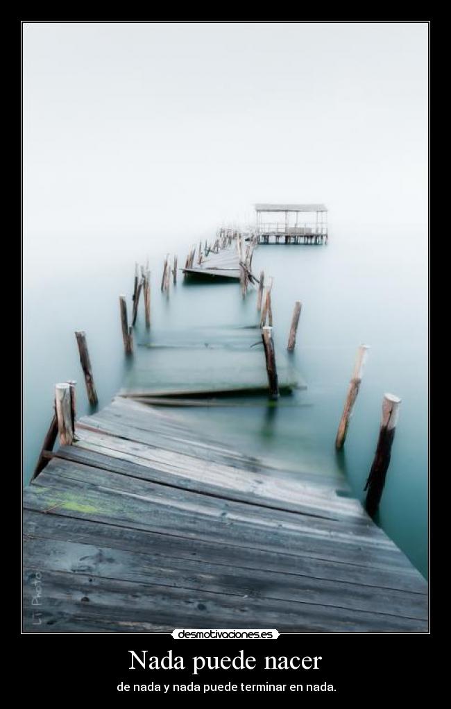 Nada puede nacer -