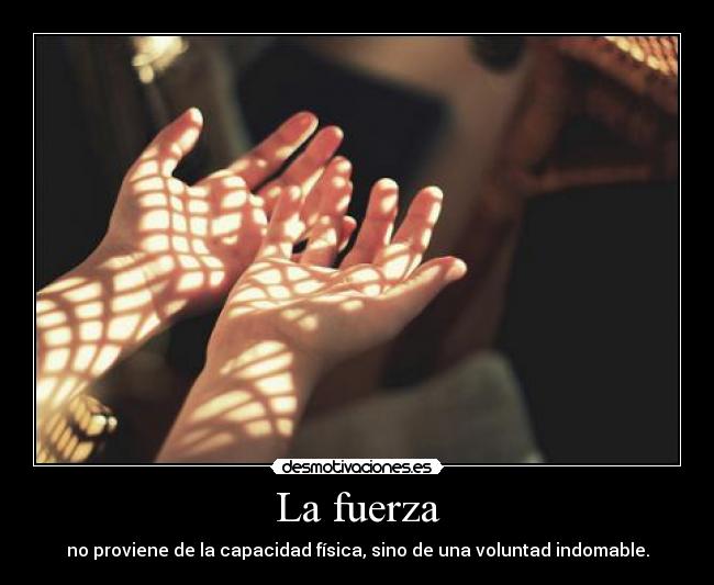 carteles fuerzaa desmotivaciones