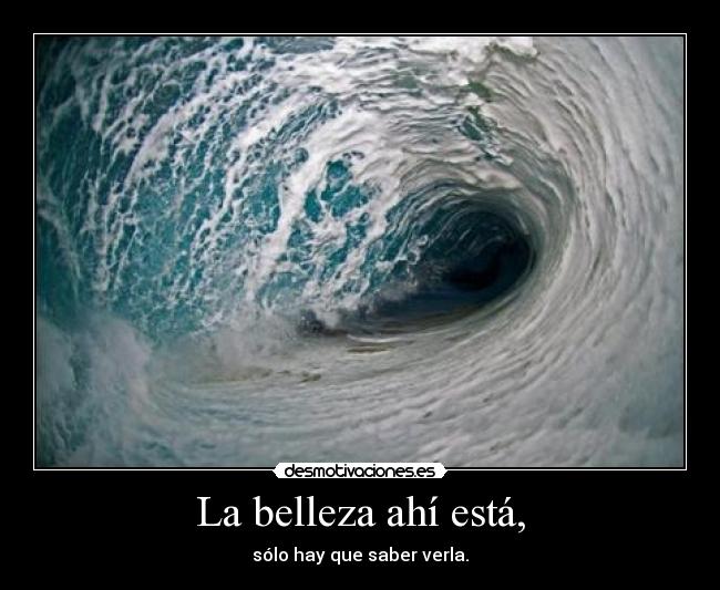 carteles belleza desmotivaciones