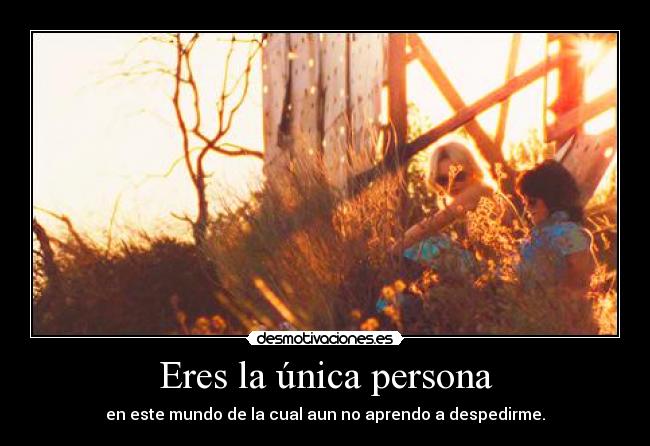 Eres la única persona -