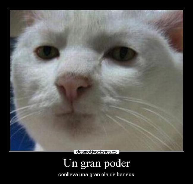 carteles slipkdemon intruders clandesplazado clanhorde catkiller clanbaneado walt ban spiderman desmotivaciones