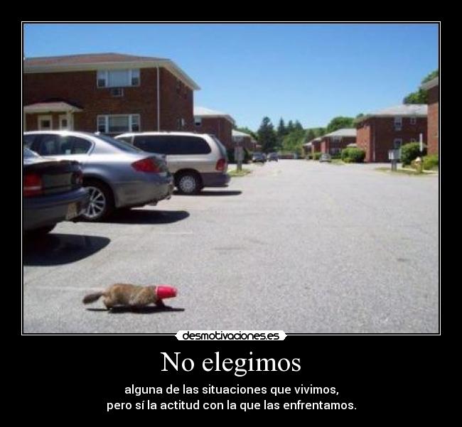 No elegimos - alguna de las situaciones que vivimos,
pero sí la actitud con la que las enfrentamos.