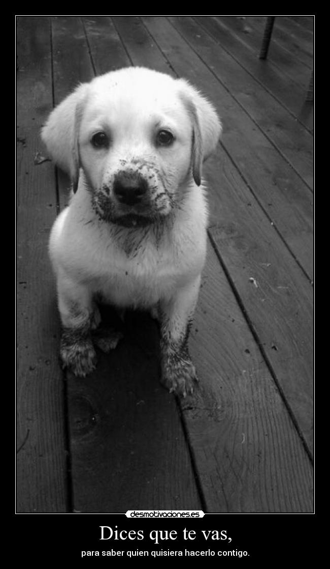 Dices que te vas, -