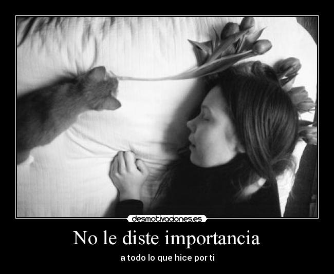 No le diste importancia - 