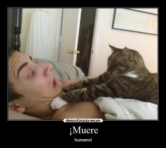 ¡Muere - humano!
