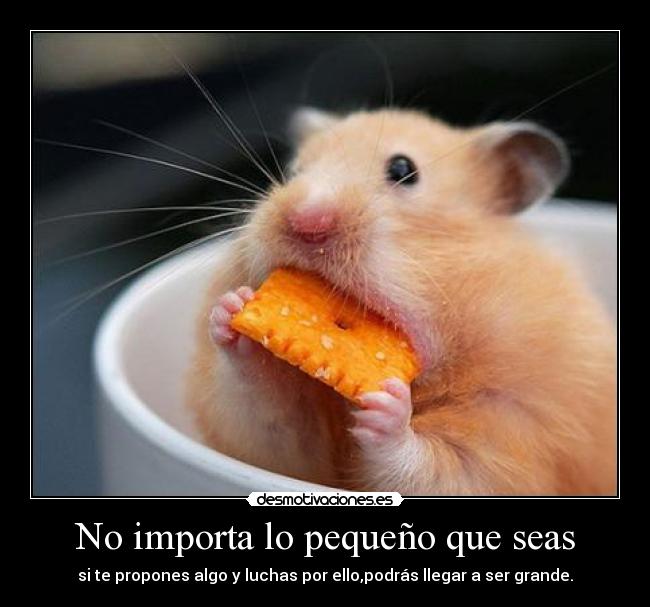 No importa lo pequeño que seas -