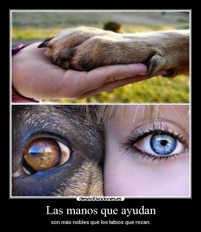 carteles las manos que ayudan para desmo02 clantriton addictive karaoke desmotivaciones