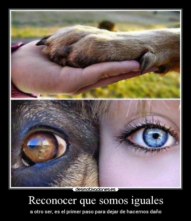 Reconocer que somos iguales -